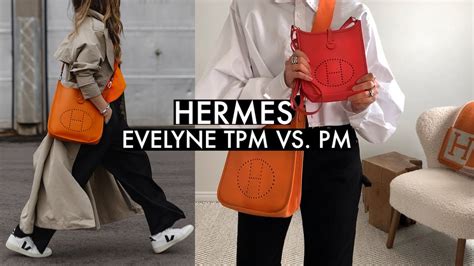 evelyne hermes tpm|hermes evelyne review.